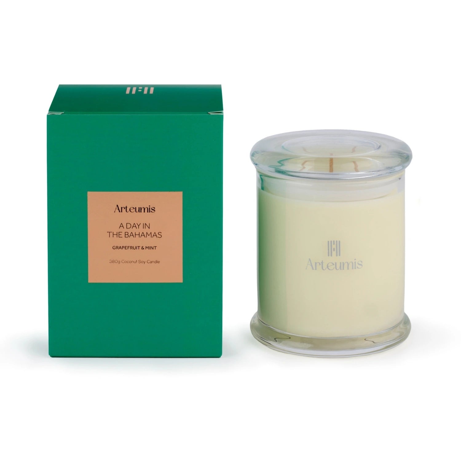 A Day in the Bahamas